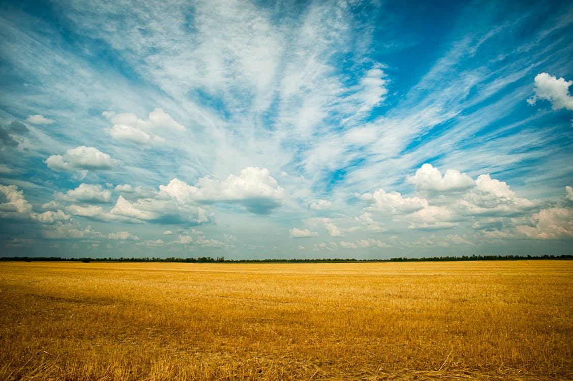🌾 VENTA - CAMPO 27,8 HA EN AYERZA, PERGAMINO