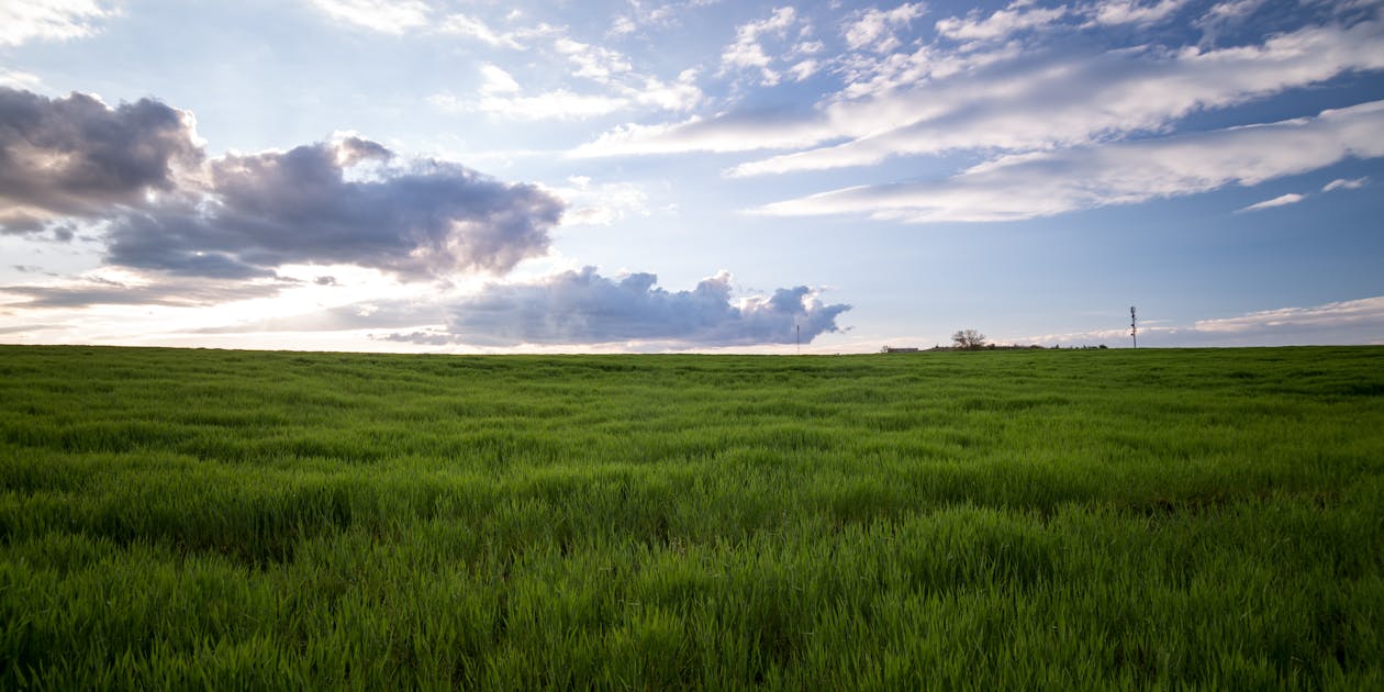 🌾 VENTA - CAMPO 111 HA EN RANCAGUA, PERGAMINO
