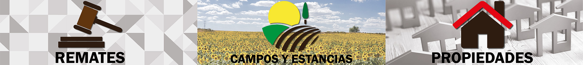 nosotros